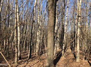 9780 Golf Port Dr, Stanwood, MI