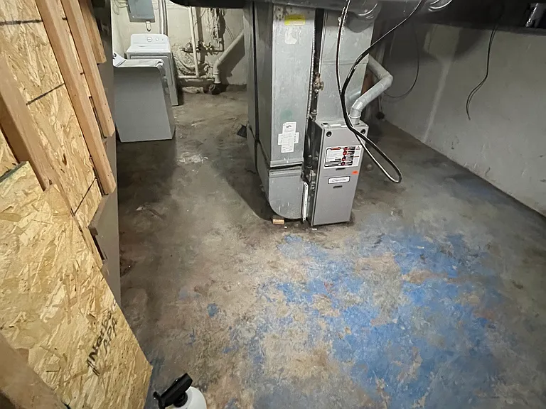 183 Higgins St #1 — Photo 17