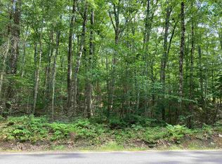Birch Hill Rd, New durham, NH 03855