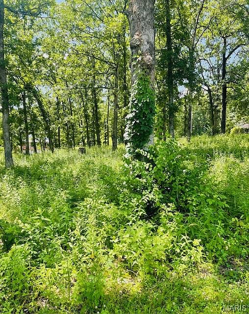 2nd image of 0 Krausetown Rd