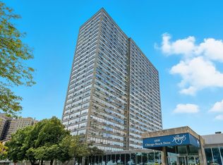 4800 S Chicago Beach Dr APT 408S, Chicago, IL 60615