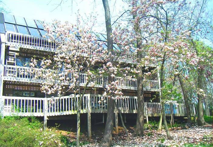 Nature Lover's Paradise