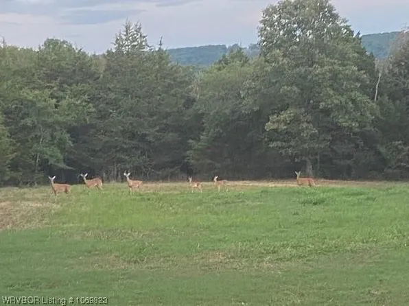 Highway 71 NW, Alma, AR 72921