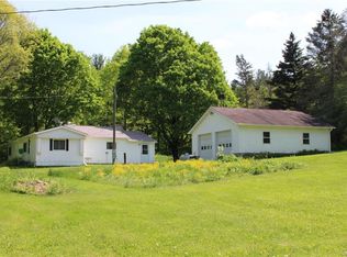 4225 Back River Rd, Scio, NY 14880