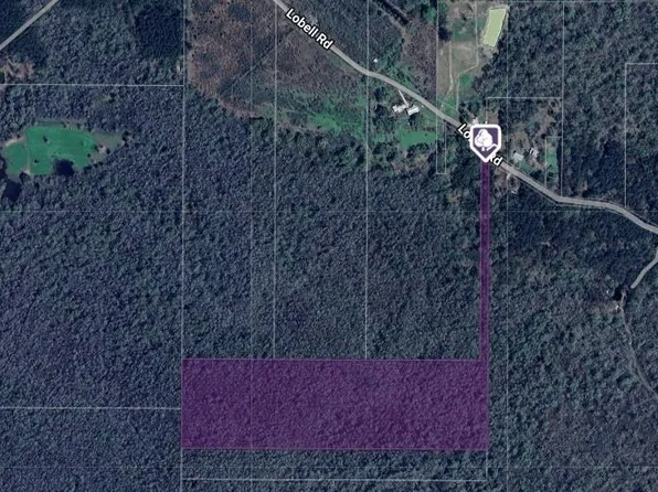 Lobell Rd, Holden, LA 70744