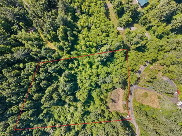 Tl 1500 Ville Willowbrook Dr, Tillamook, OR 97141