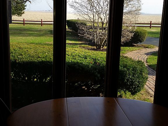 View from kitchen window