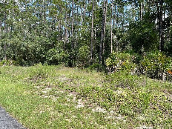 2nd image of LOT 23 SW TIGER LAKE BOULEVARD W LOT 23