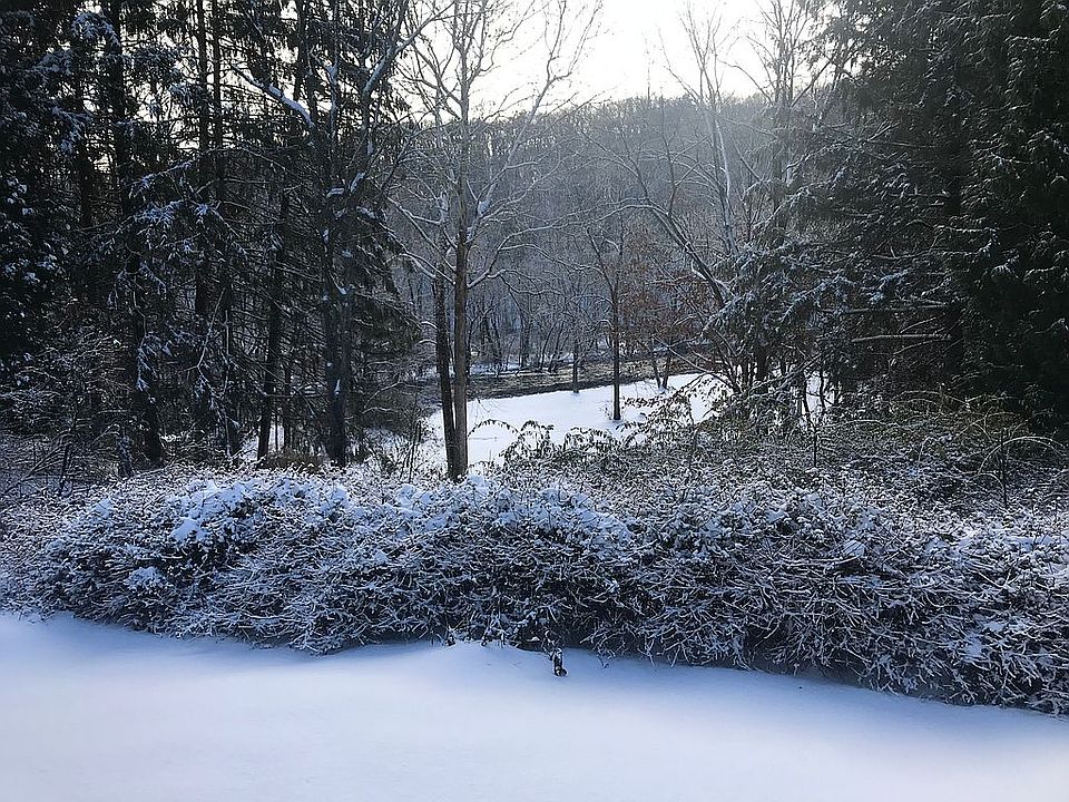 2nd image of 913 Homestead Dr