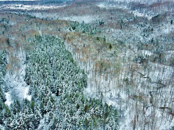 0 Cosby Rd #2, Frankfort, NY 13340