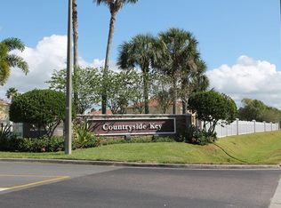 341 Countryside Key Blvd, Oldsmar, FL 34677