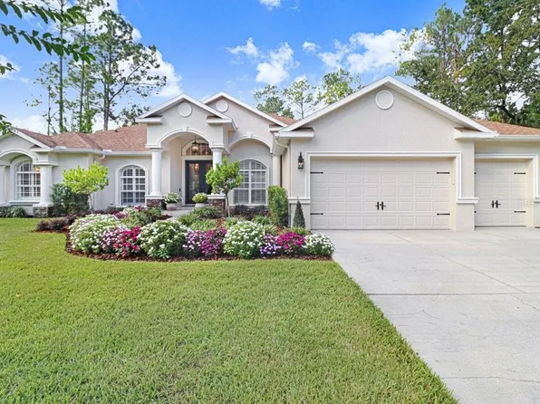 428 PINE BLUFF DRIVE, LUTZ, FL 33549