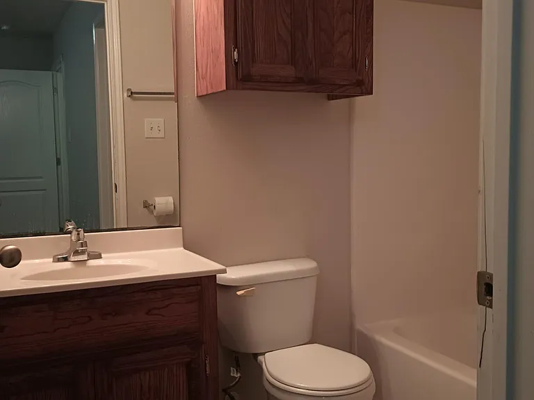 master bath, Tub & Showerr