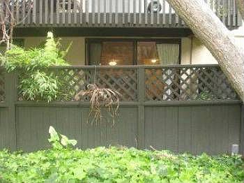 1st image of 8123 Shelter Creek Ln