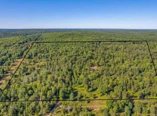 Bush Rd, Wolverine, MI 49799