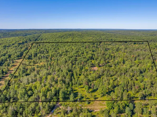 Bush Rd, Wolverine, MI 49799