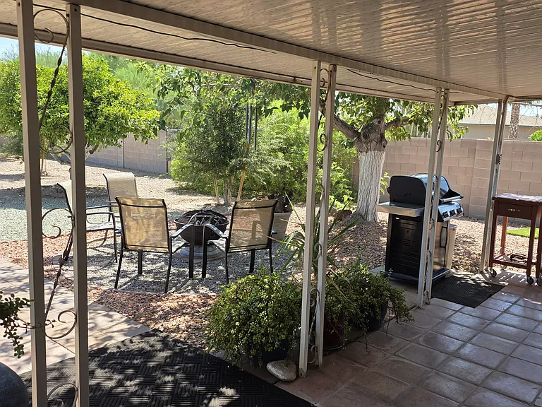 back yard