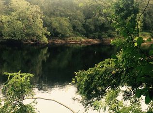 NE Marion Rd, Mayo, FL 32066