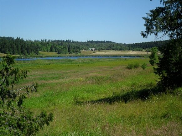 View of Kreger Lake 