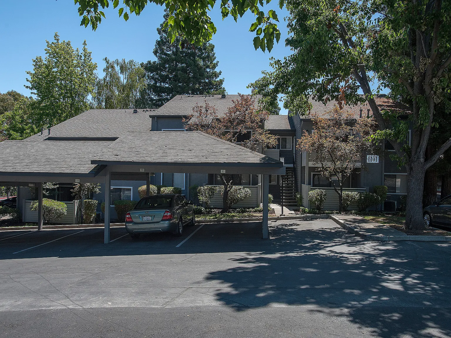 Plum Tree Apartments — Photo 3