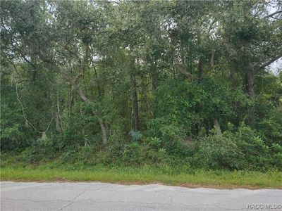 6857 W Pershing Dr, Homosassa, FL, 34448