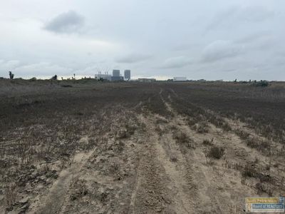 Boca Chica Blvd, Brownsville, TX, 78521