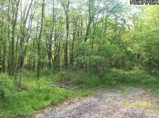 Palmer Rd, Kimbolton, OH 43749