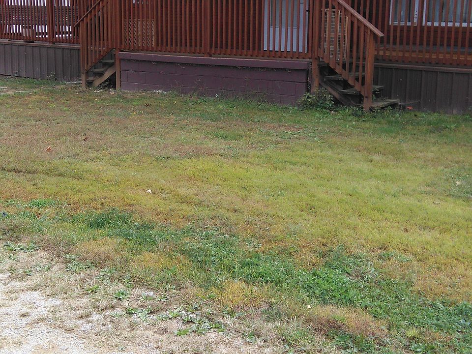 1st Home