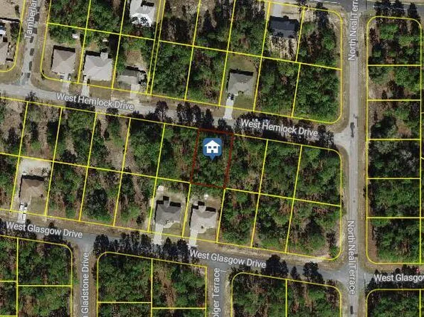 846 W Hemlock Dr, Citrus Springs, FL 34434