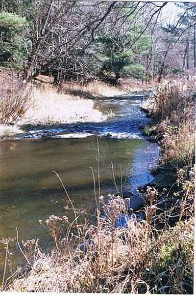 5th image of 773 SHEW HOLLOW Road
