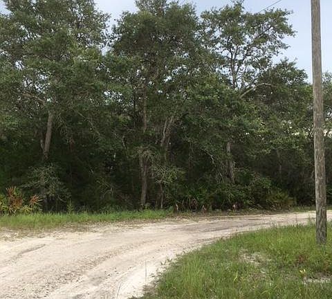 5th image of 1005 Seminole Bear Trl