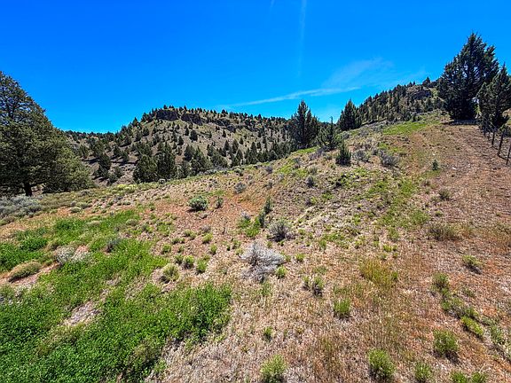 3rd image of Luce Creek Rd