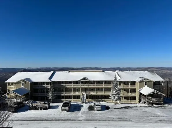 142 Summit, Snowshoe, WV 26209