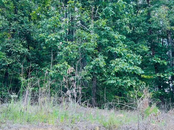 8714 Old Tennessee Pike Rd #4.002, Pinson, AL 35126