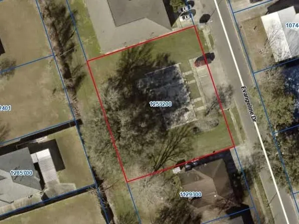 137 Evangeline Dr, Donaldsonville, LA 70346