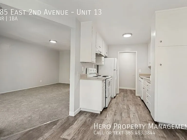 585 E 2nd Ave #13 — Photo 9