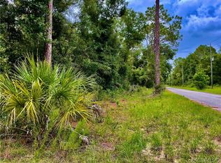 2921 W Grapevine Ct, Dunnellon, FL 34433