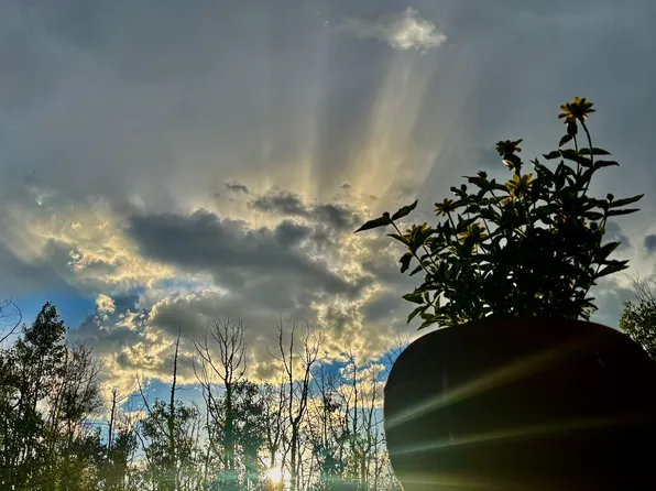 7 Wapiti Rd, Telluride, CO 81435