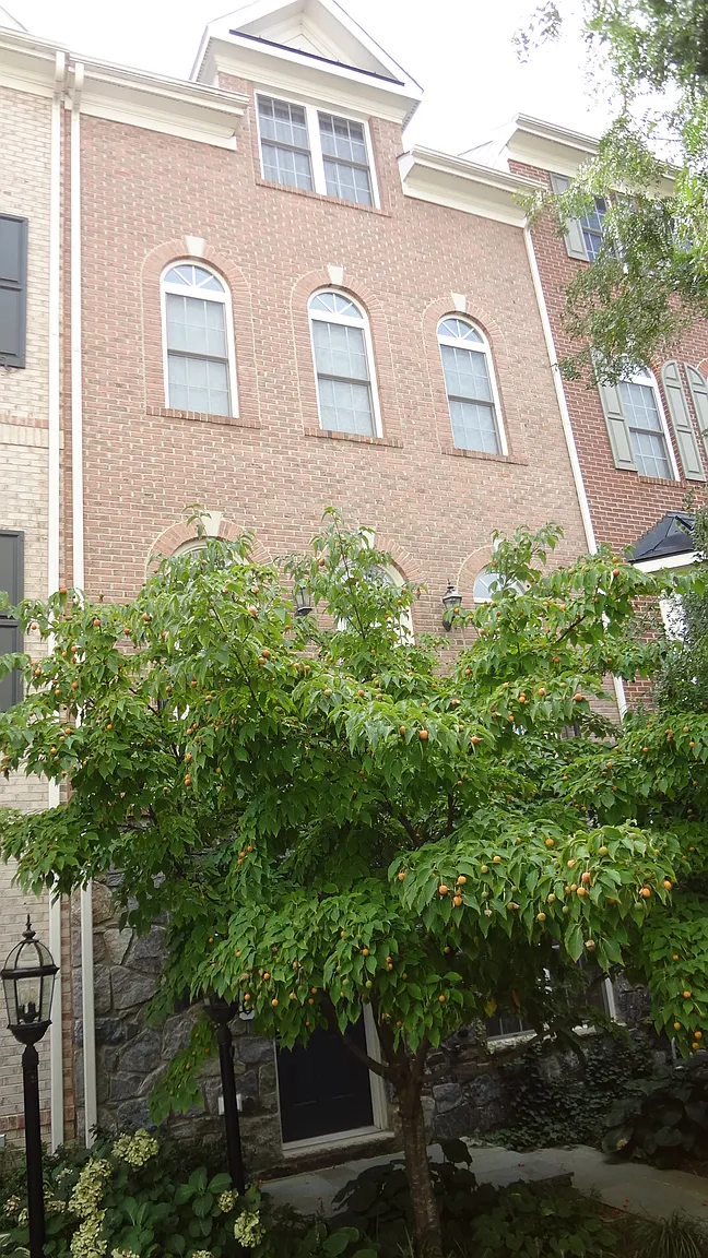 646 Eden Pl photo 1