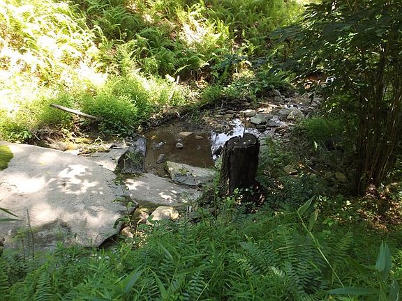 3rd image of 4480 Old Bridle Creek Dr