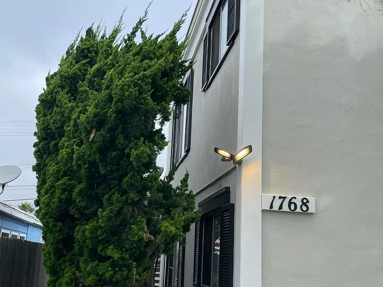 1768 Thomas Ave — Photo 2