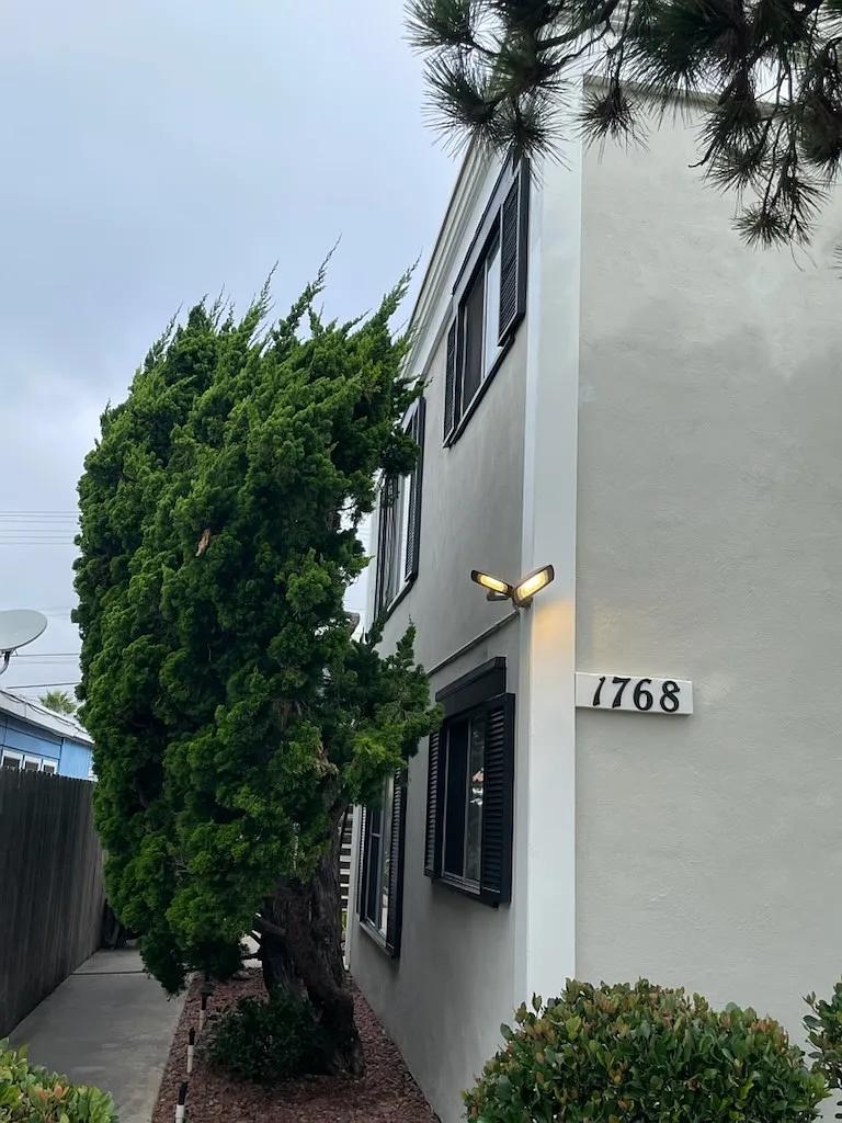 Building Photo - 1768 Thomas Ave