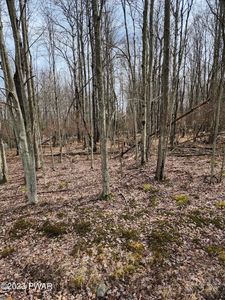 Snowshoe Cir, Lake Ariel, PA, 18436