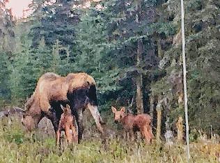 72295 Norwegian Woods Rd, Anchor Point, AK 99556