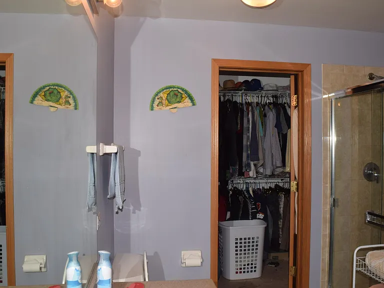 Master bath with walk-in closet