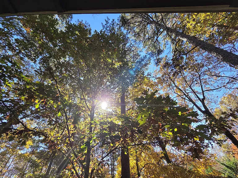 34 Mango Ct — Photo 10
