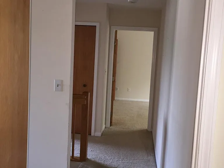 3217 Pinebluff Ct — Photo 30