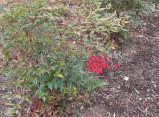 11753 N Williamsburg Dr, Knoxville, TN 37934