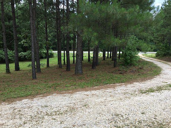Driveway and front yard