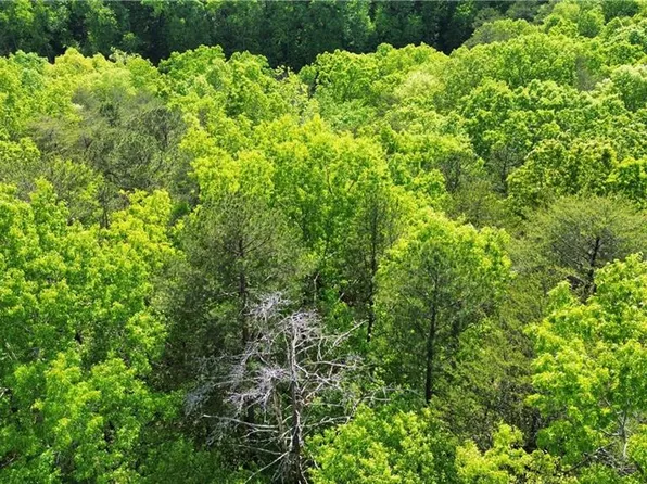 0 Brookside Point #2967, Jasper, GA 30143